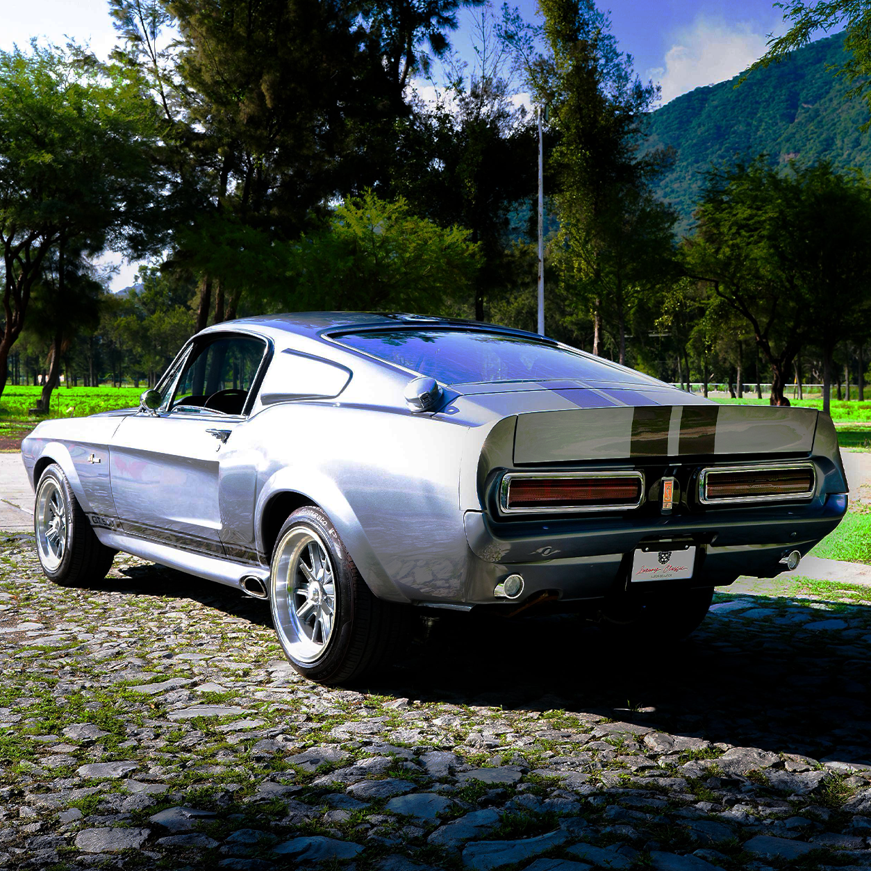 Classic Eleanor Rear